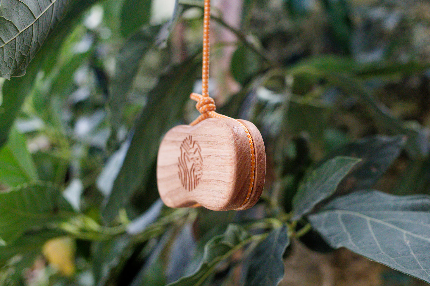 The Bean LV by CRAKD